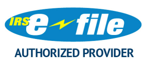 e-file-authorized-provider